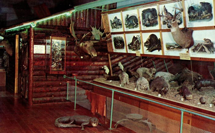 Paris Fish Hatchery - Old Postcard View (newer photo)